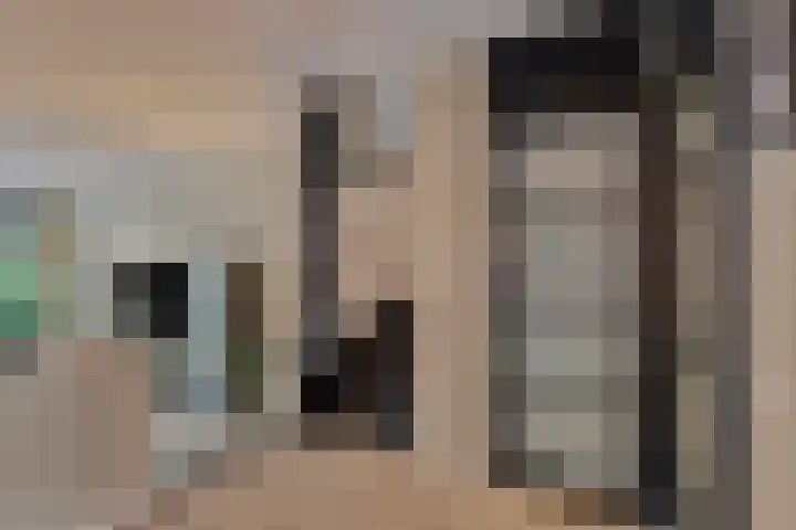 Hof van Portland 5 Rhoon thumbnail 10