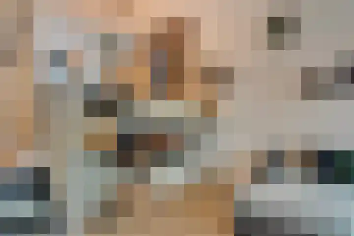 Hof van Portland 5 Rhoon thumbnail 13
