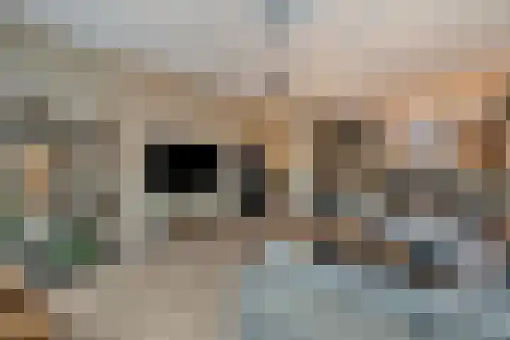 Hof van Portland 5 Rhoon thumbnail 15