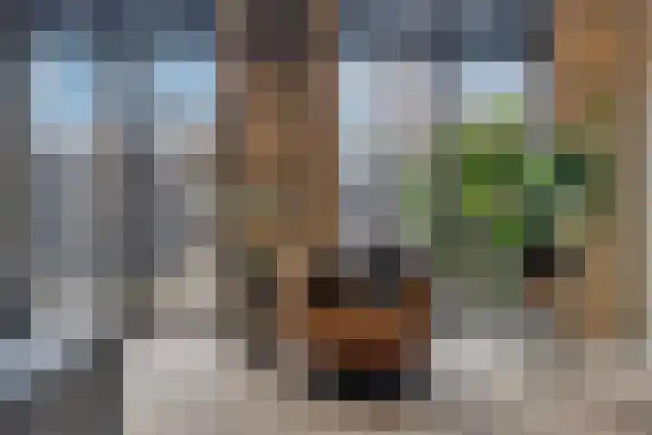 Hof van Portland 5 Rhoon thumbnail 16