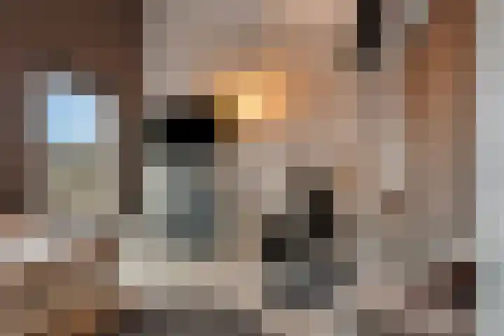Hof van Portland 5 Rhoon thumbnail 32