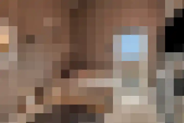 Hof van Portland 5 Rhoon thumbnail 33
