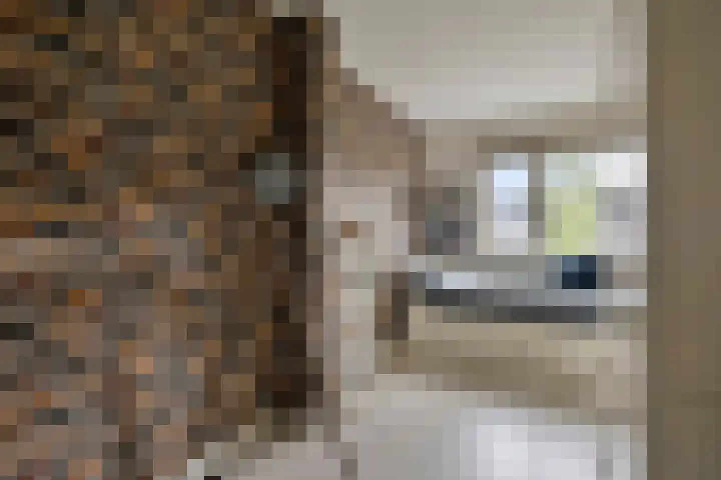 Hof van Portland 7 Rhoon thumbnail 25