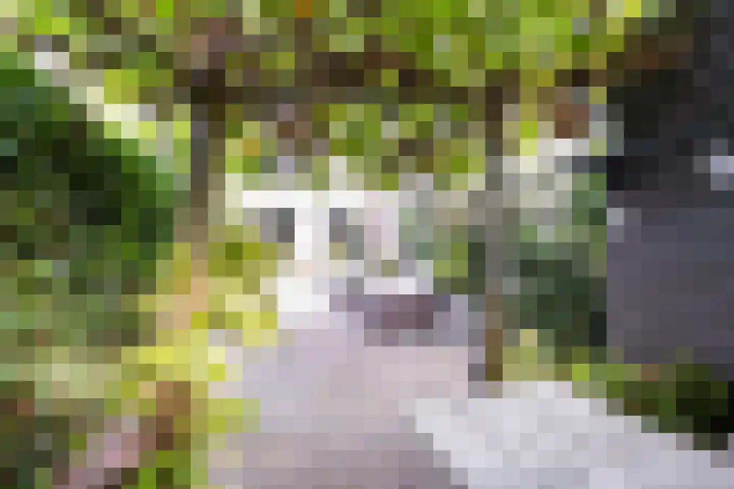 Hof van Portland 7 Rhoon thumbnail 31