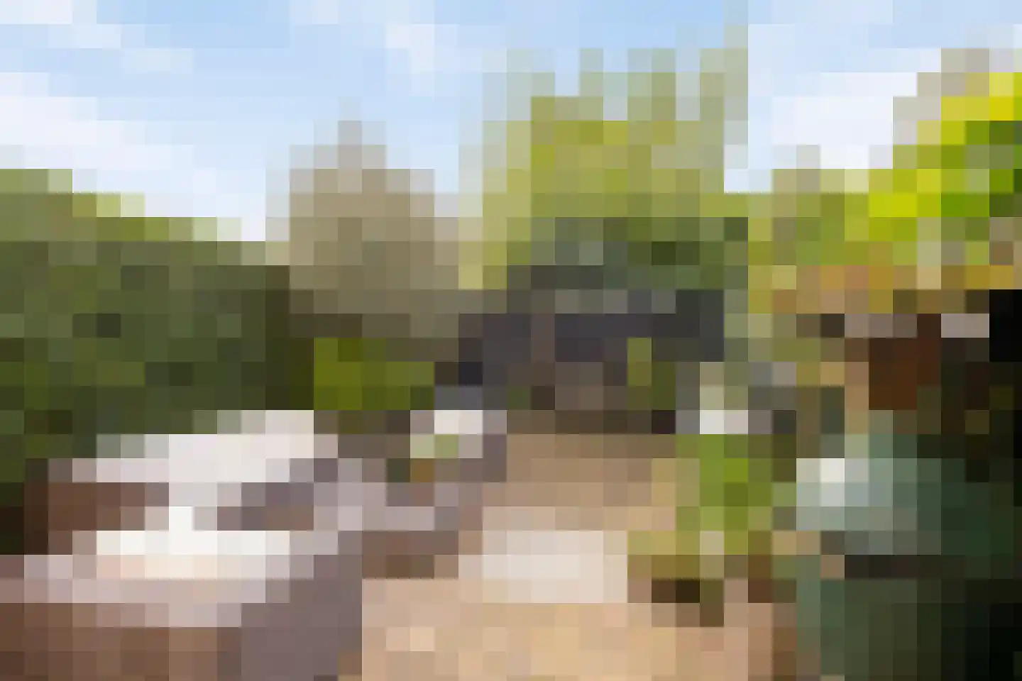 Hof van Portland 7 Rhoon thumbnail 32