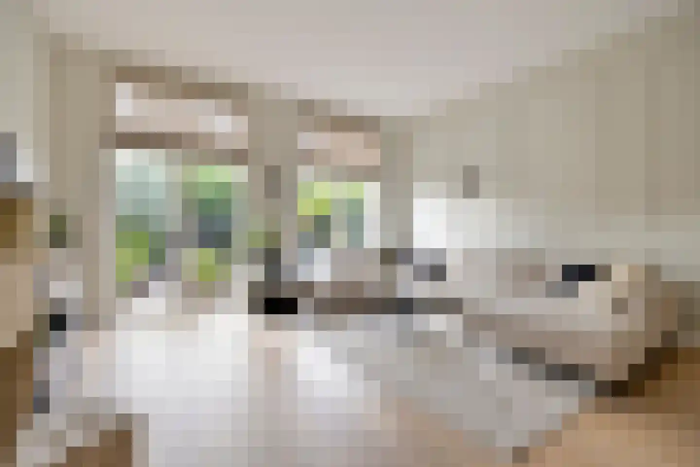 Hof van Portland 7 Rhoon thumbnail 4