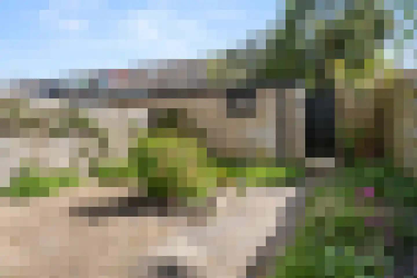 Hof van Putten 18 Bennekom thumbnail 21