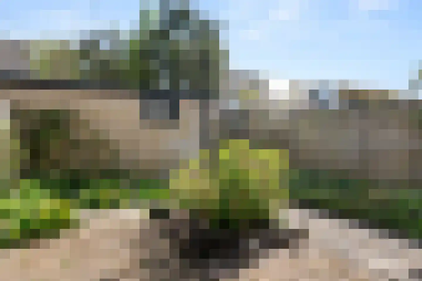 Hof van Putten 18 Bennekom thumbnail 22