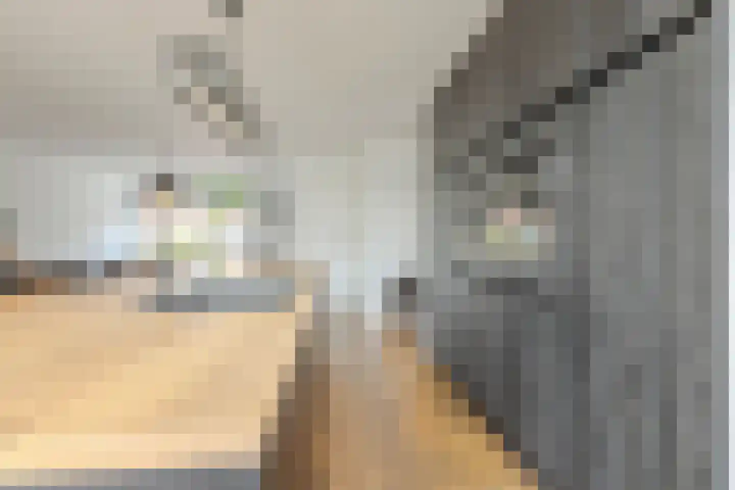 Hof van Rassegem 10 Rijen thumbnail 14