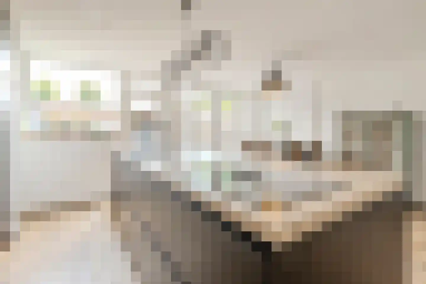 Hof van Rassegem 10 Rijen thumbnail 15