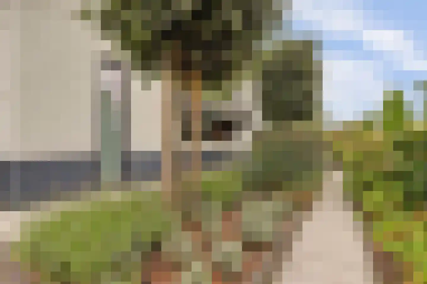 Hof van Reimerswaal 16 Bergen op Zoom thumbnail 7