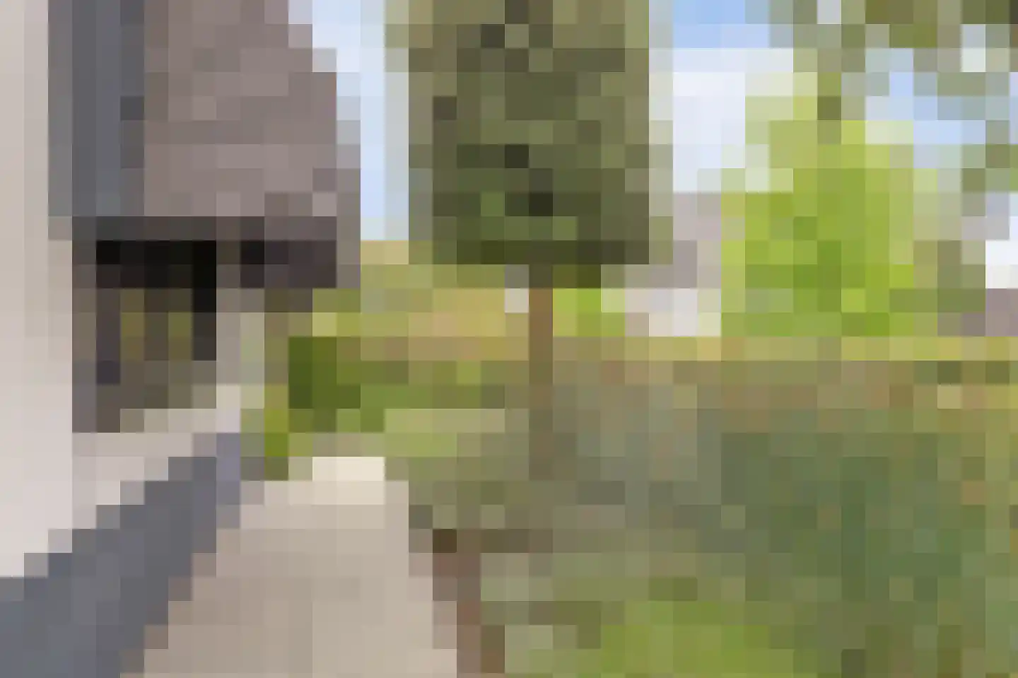 Hof van Reimerswaal 16 Bergen op Zoom thumbnail 8