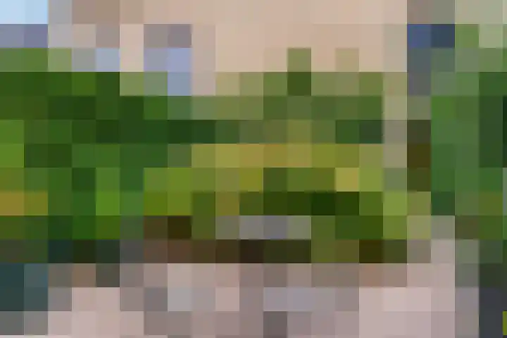 Hof van Reinald 9 Valkenburg thumbnail 24
