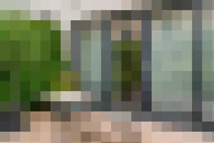 Hof van Reinald 9 Valkenburg thumbnail 25