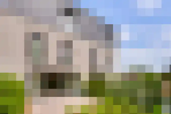 Hof van Reinald 9 Valkenburg thumbnail 26