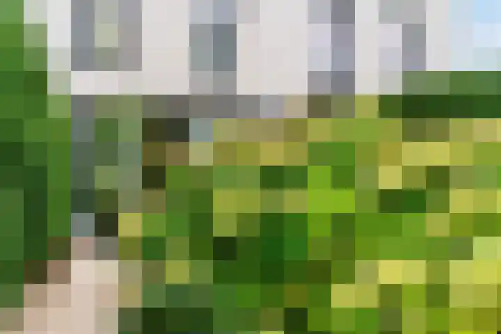 Hof van Reinald 9 Valkenburg thumbnail 28