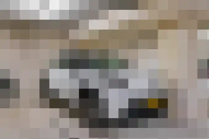 Hof van Reinald 9 Valkenburg thumbnail 30