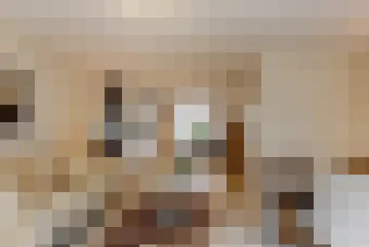 Hof van Reinald 9 Valkenburg thumbnail 5