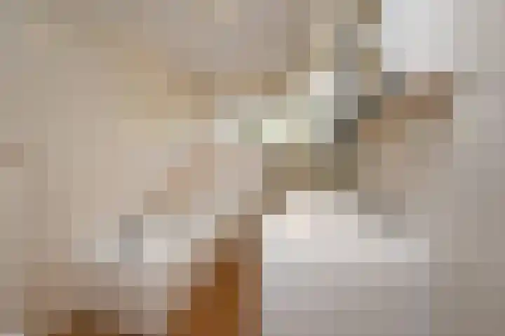 Hof van Rijnsburg 27 Nootdorp thumbnail 5