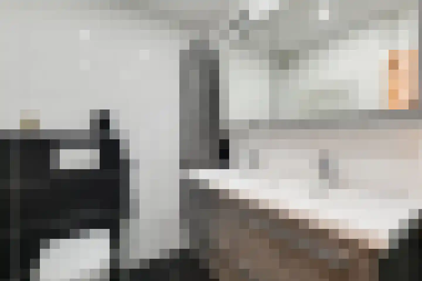 Hof van Robijn 3 Delft thumbnail 7