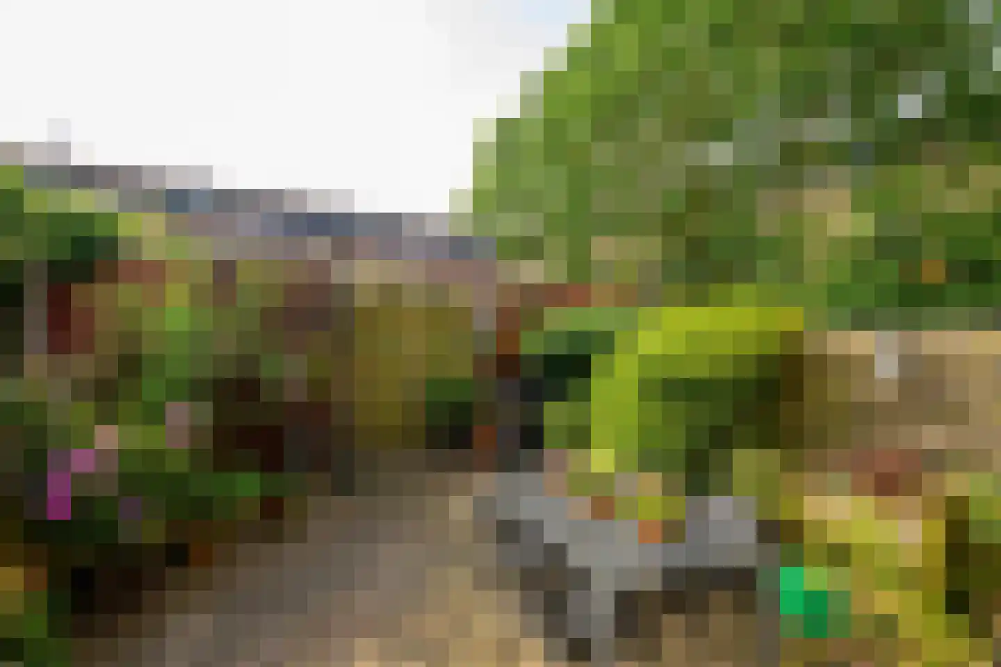 Hof van Robijn 3 Delft thumbnail 8