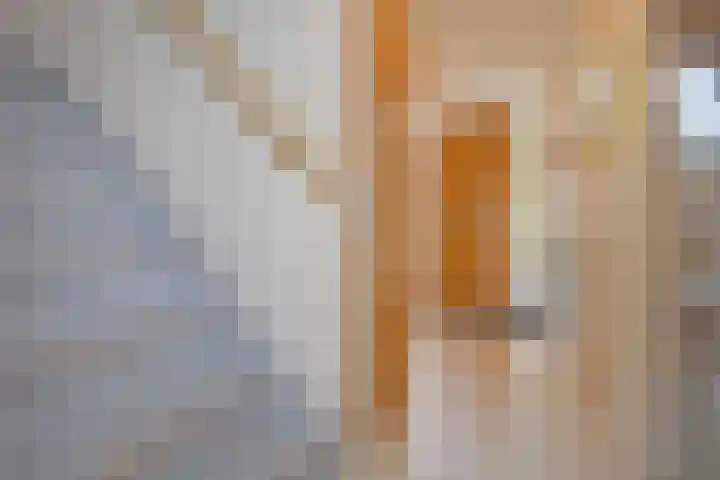 Hof van Robijn 6 Delft thumbnail 28