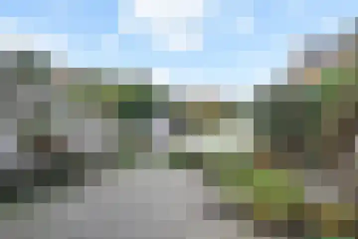 Hof van Robijn 6 Delft thumbnail 5