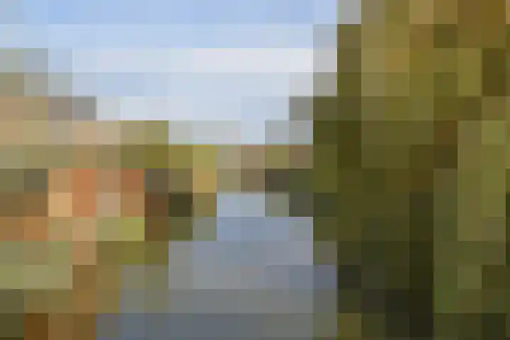 Hof van Robijn 6 Delft thumbnail 56