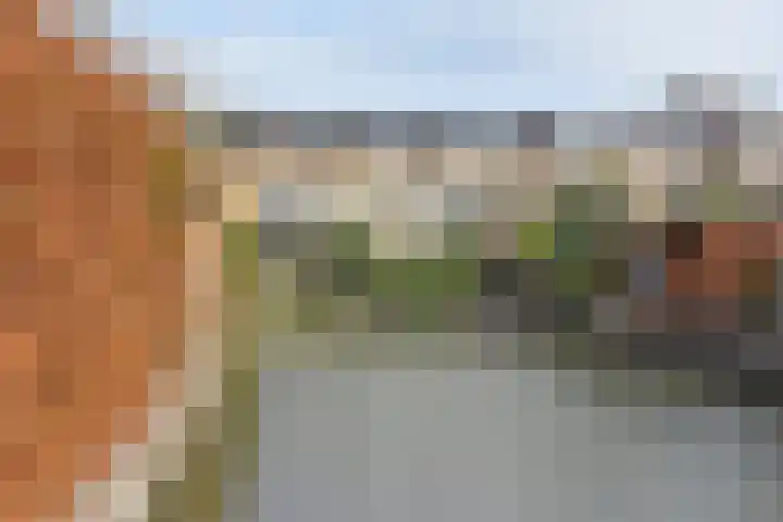 Hof van Robijn 6 Delft thumbnail 6