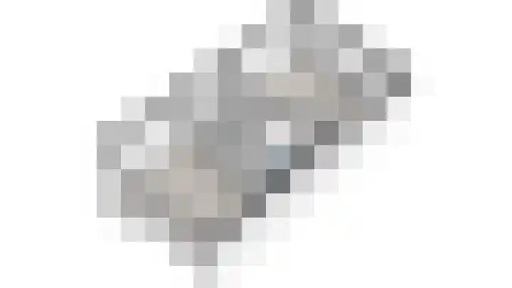Hof van Robijn 6 Delft thumbnail 66