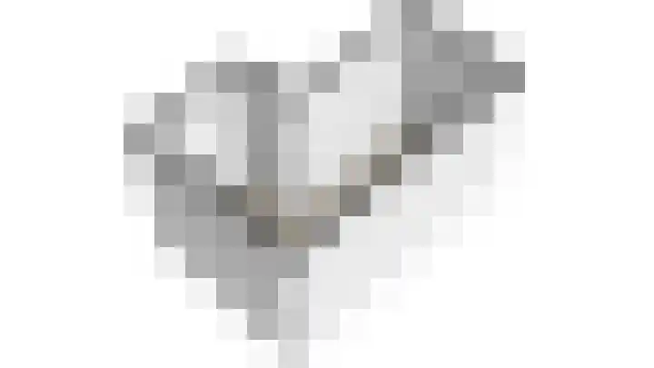Hof van Robijn 6 Delft thumbnail 69