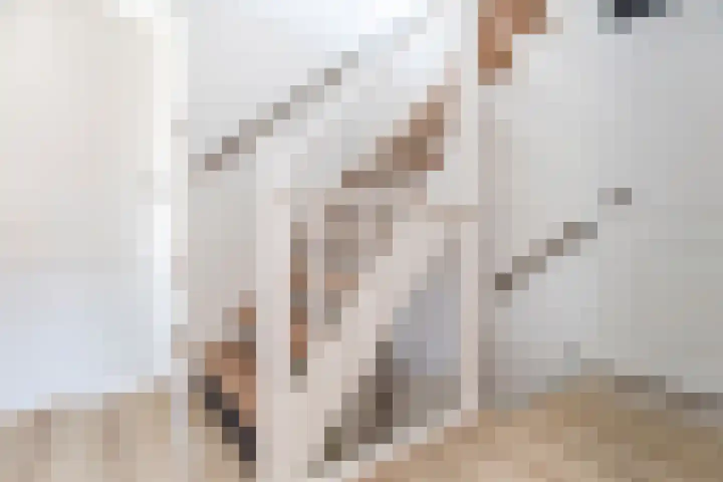Hof van Robijn 9 Delft thumbnail 33