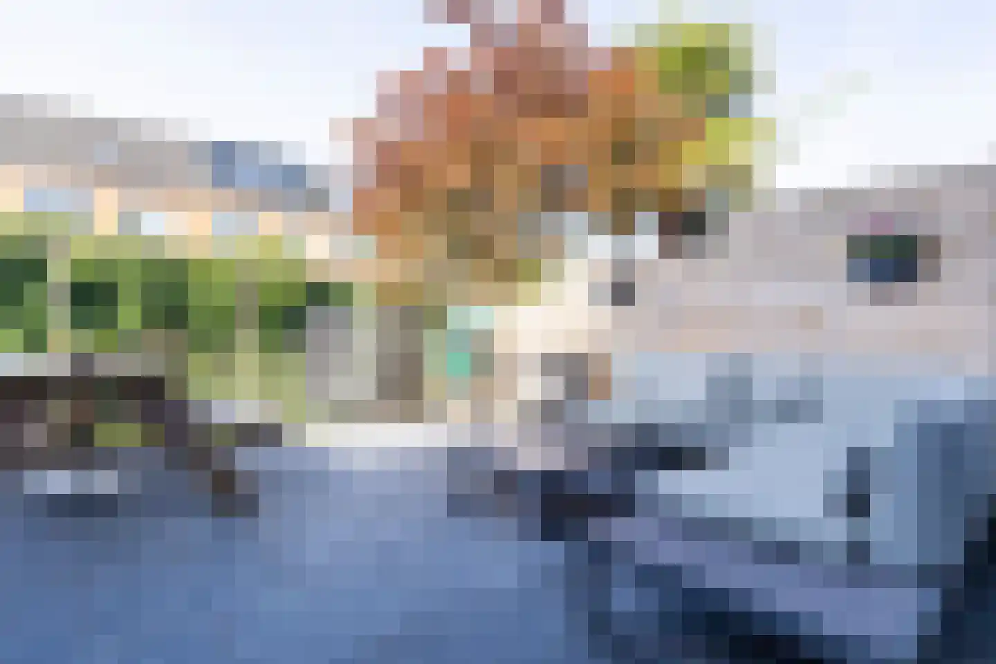 Hof van Robijn 9 Delft thumbnail 52