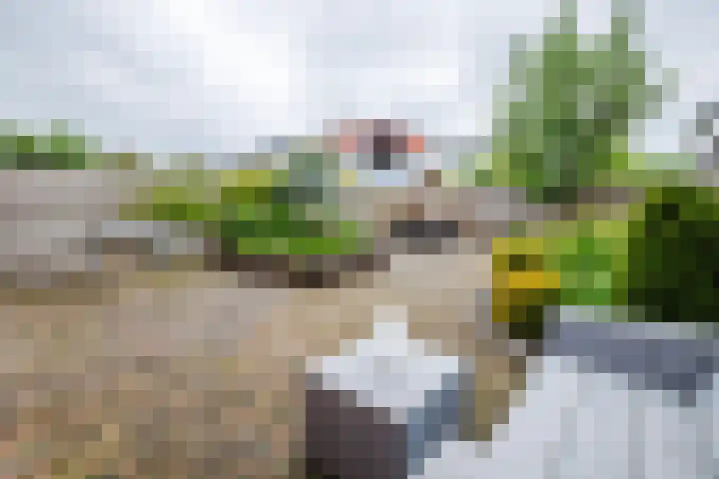 Hof van Rome 100 Doetinchem thumbnail 12