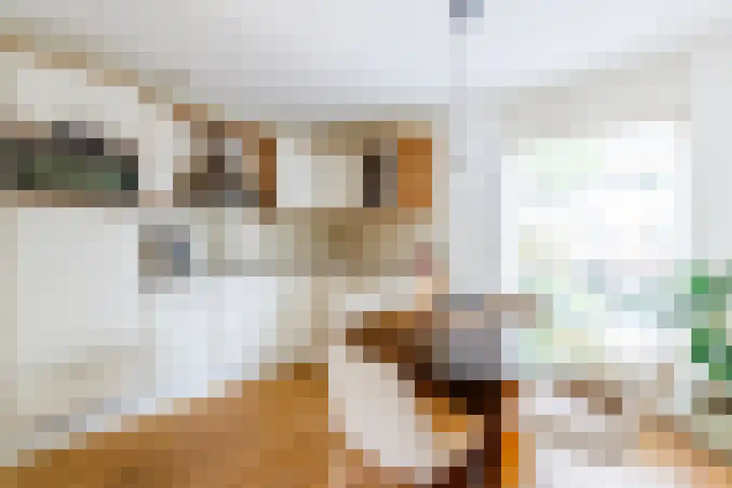 Hof van Rome 100 Doetinchem thumbnail 8