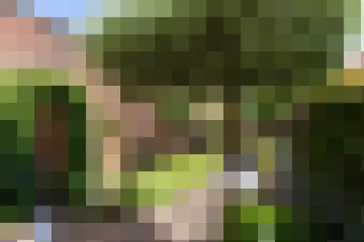 Hof van Rome 251 Doetinchem thumbnail 17