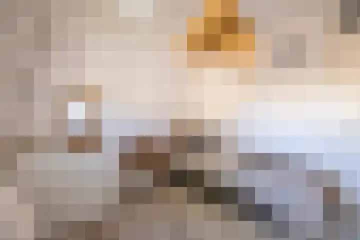 Hof van Rome 251 Doetinchem thumbnail 32