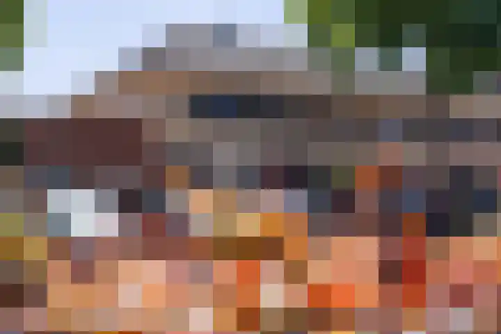 Hof van Rome 251 Doetinchem thumbnail 45