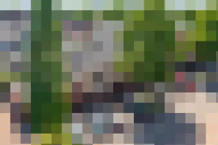 Hof van Rome 251 Doetinchem thumbnail 47