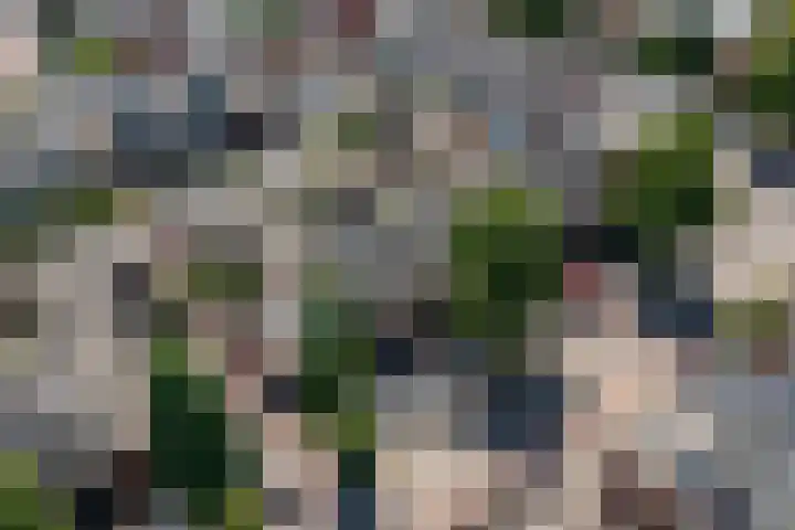 Hof van Rome 251 Doetinchem thumbnail 49