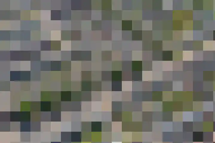 Hof van Rome 251 Doetinchem thumbnail 50