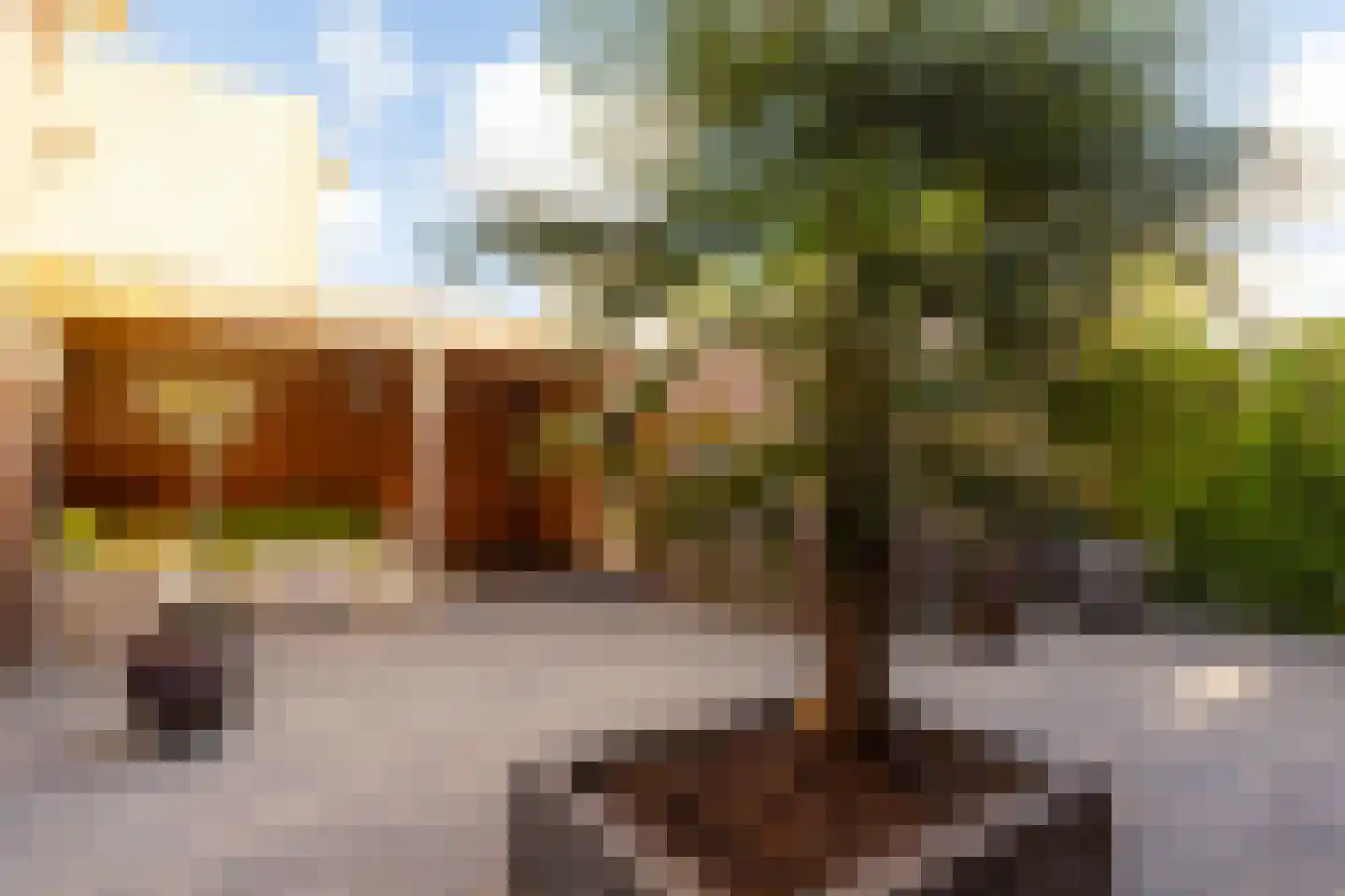Hof van Rome 88 Doetinchem thumbnail 19