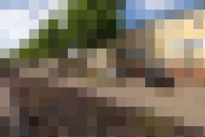 Hof van Rome 93 Doetinchem thumbnail 33