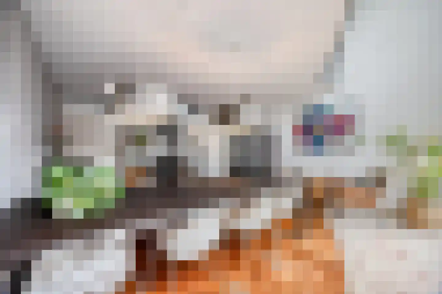 Hof van Saffier 4 Delft thumbnail 11