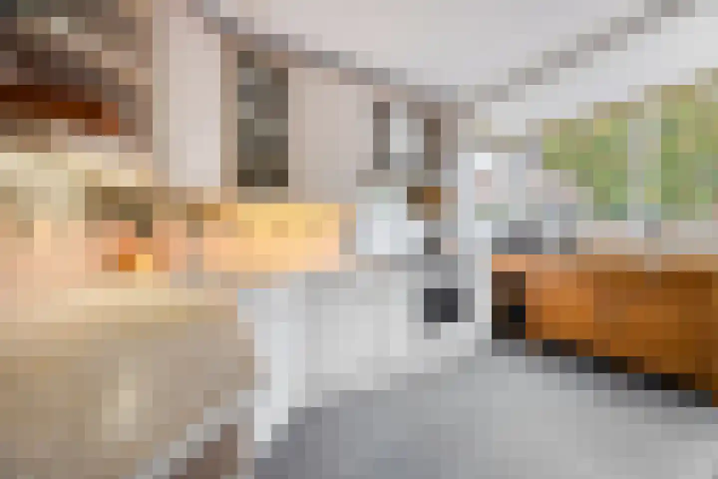 Hof van Saffier 4 Delft thumbnail 13