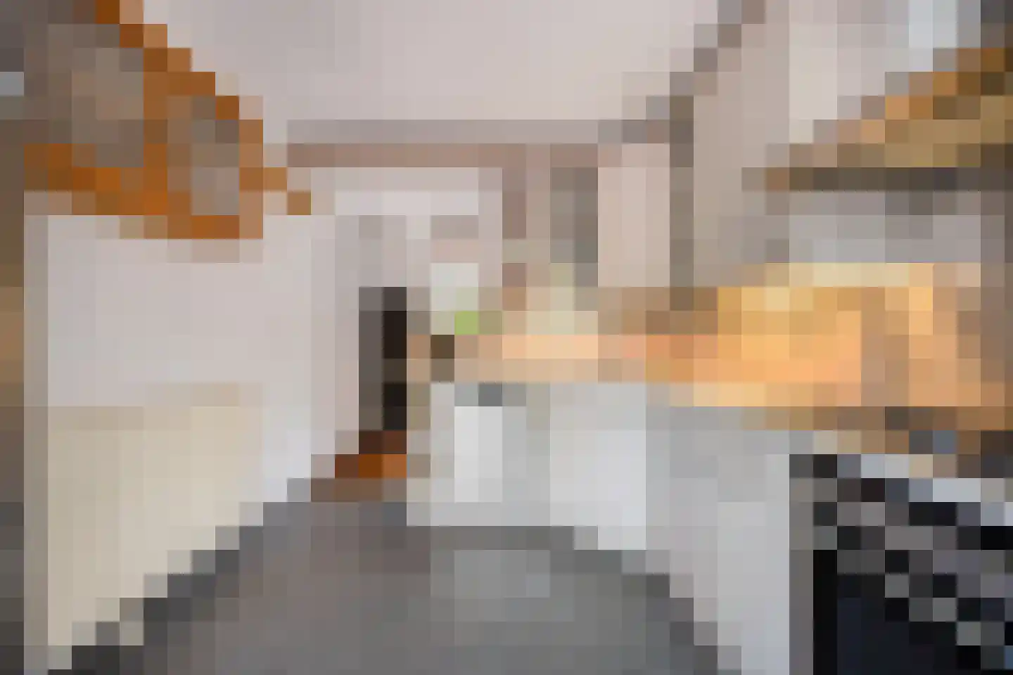 Hof van Saffier 4 Delft thumbnail 15