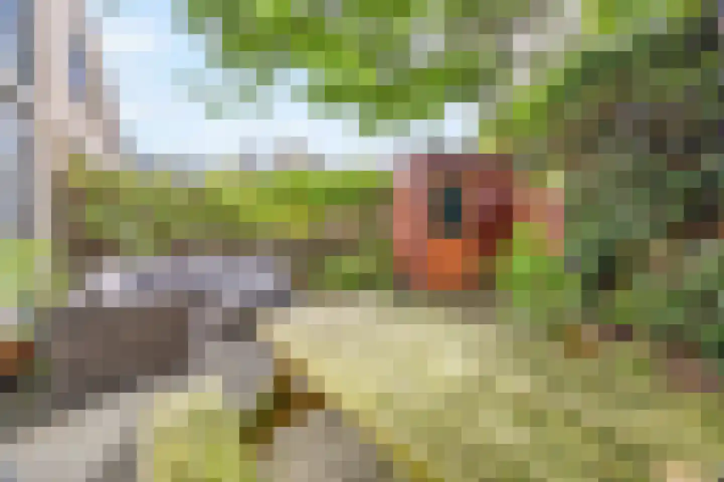 Hof van Saffier 4 Delft thumbnail 19