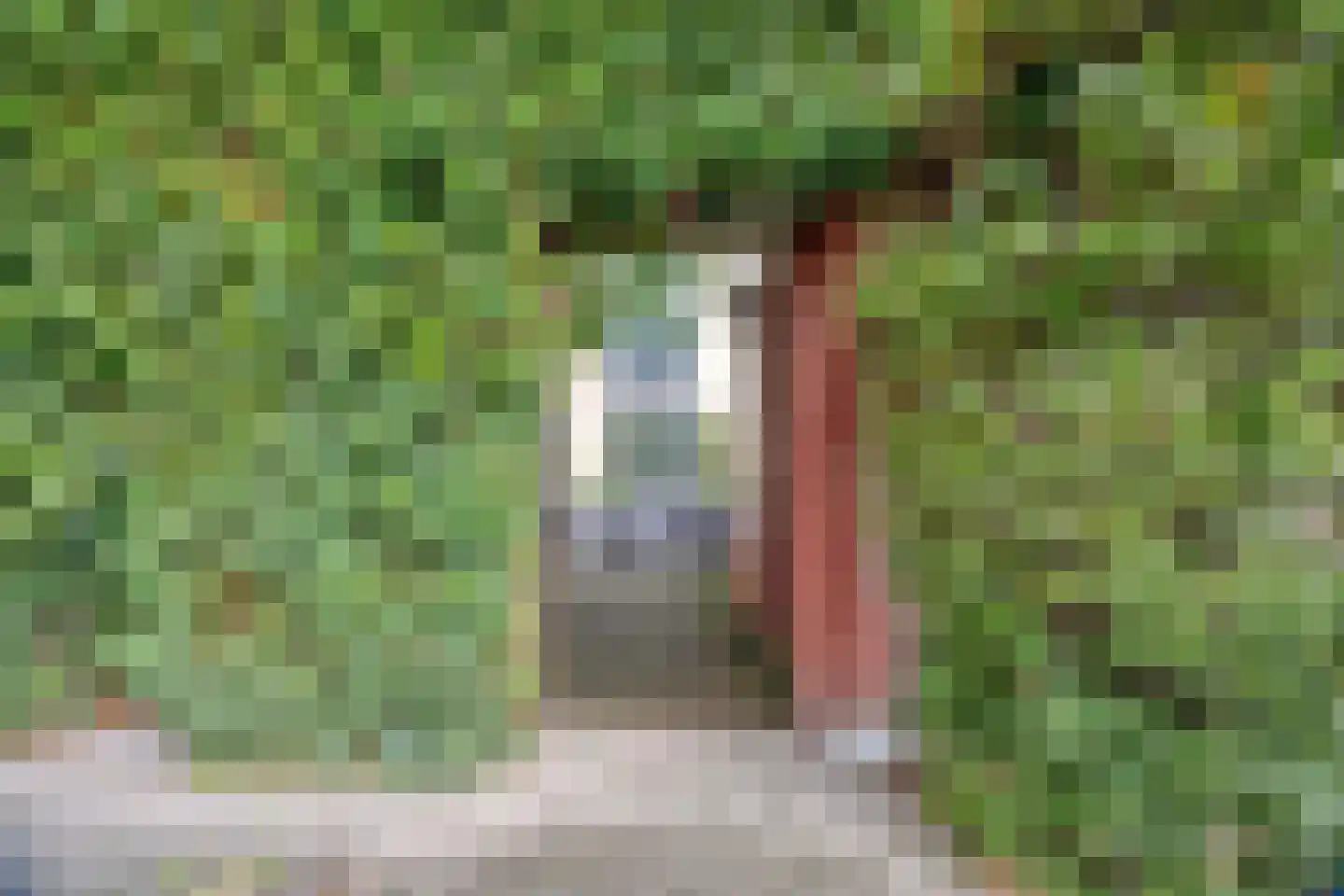 Hof van Saffier 4 Delft thumbnail 21