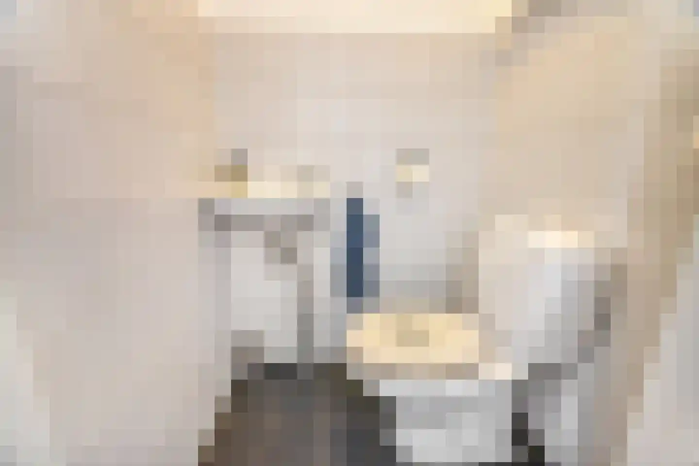Hof van Saffier 4 Delft thumbnail 22