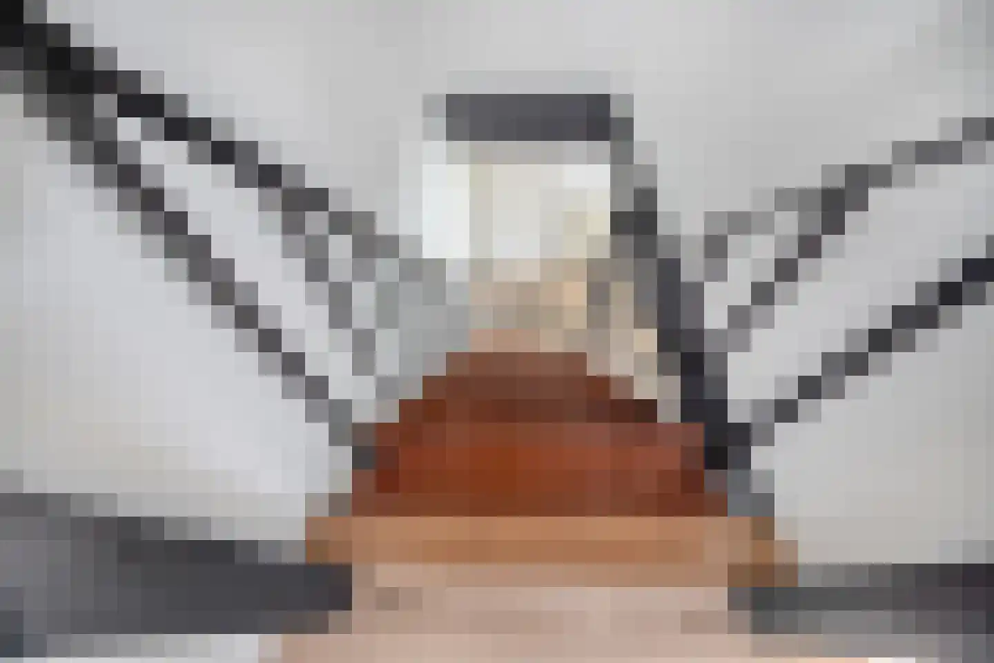 Hof van Saffier 4 Delft thumbnail 23